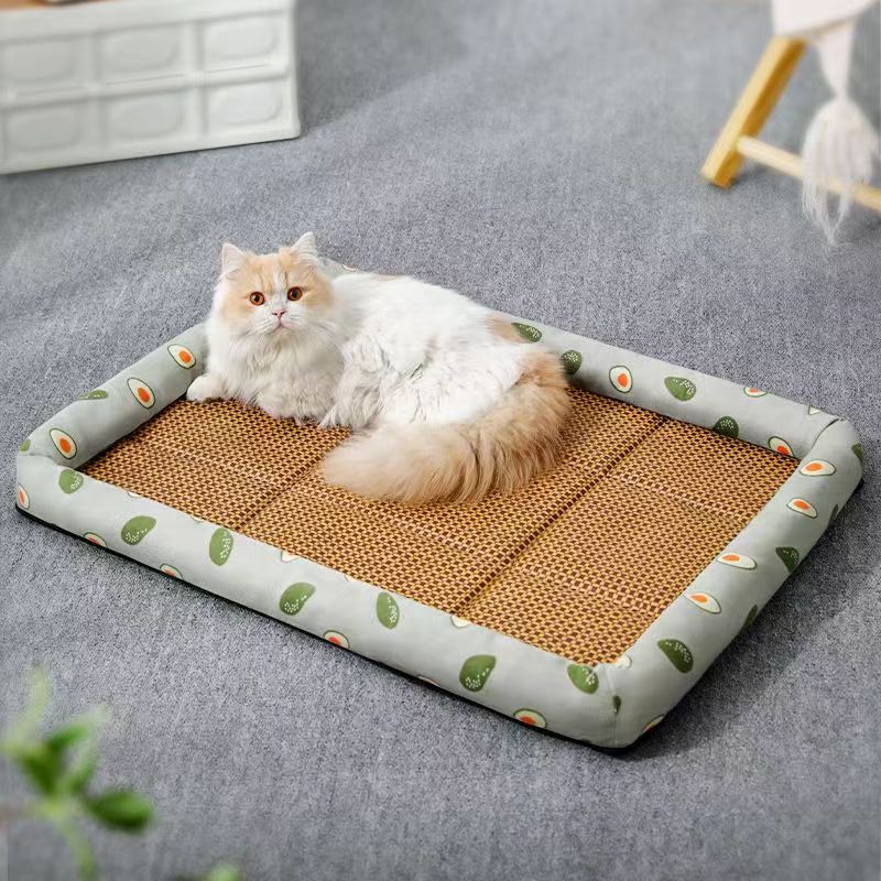 Airy summer rattan cat bed with a soft cushion – shown in a room setting (4)