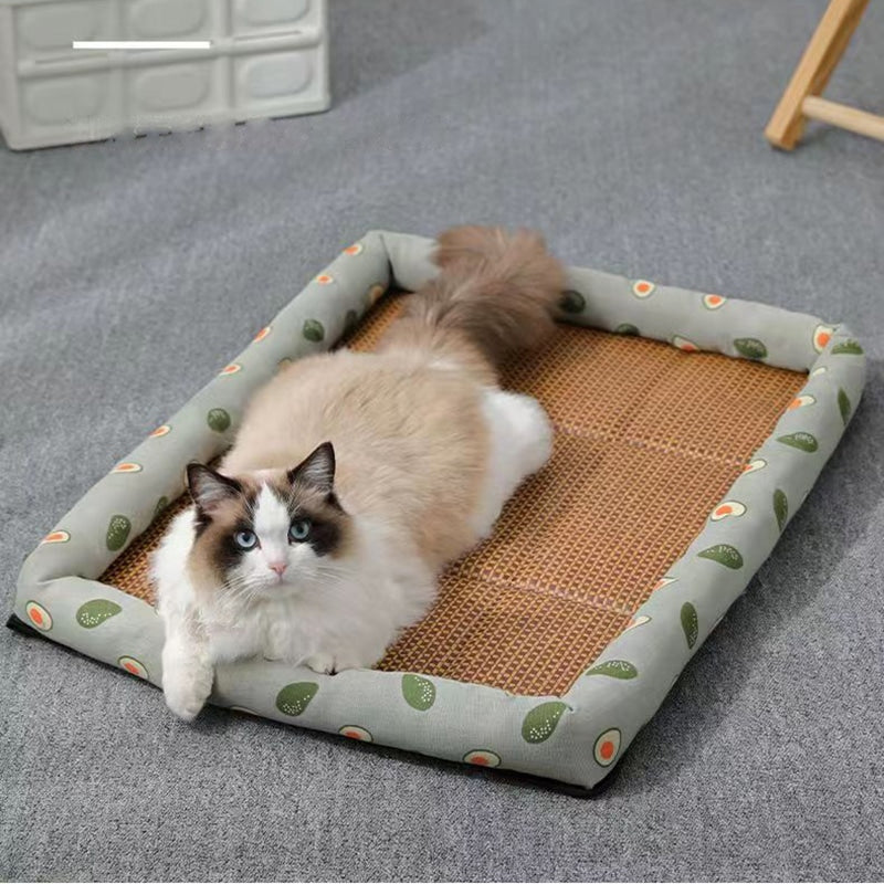 Airy summer rattan cat bed with a soft cushion – shown in a room setting