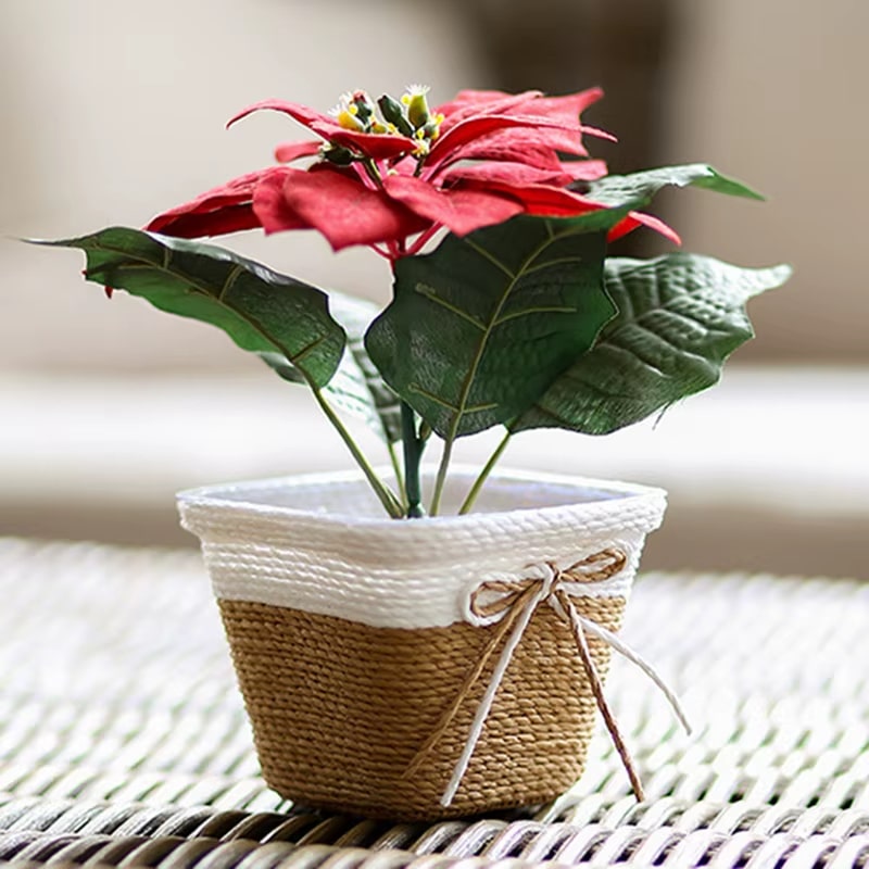 Square undyed natural rattan planter – another view