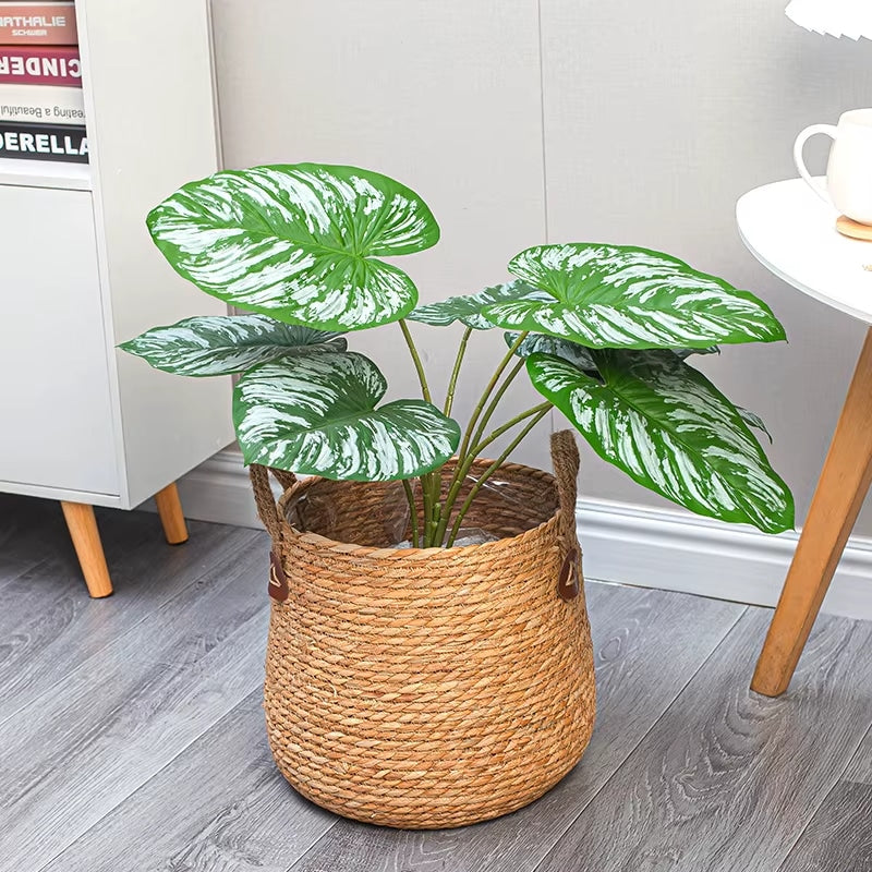 Spacious hand-braided rattan planter for large plants – shown in a room setting (2)